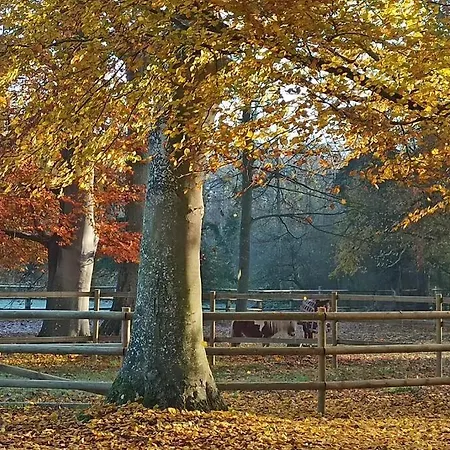 Hébergement de vacances Domaine De Valmeray *