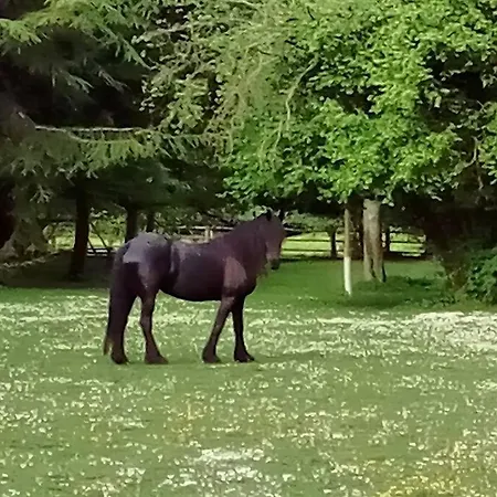 Domaine De Valmeray *