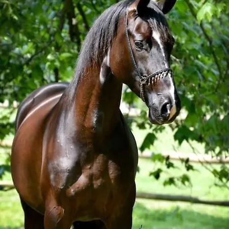 Domaine De Valmeray Hébergement de vacances *