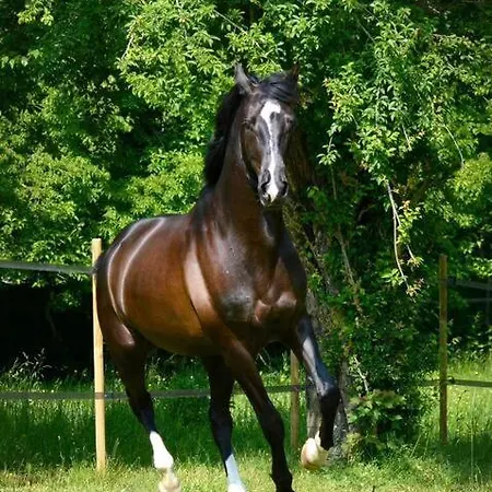 Domaine De Valmeray Hébergement de vacances *