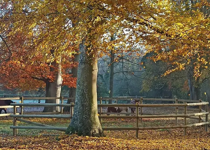 Holiday home Domaine De Valmeray *