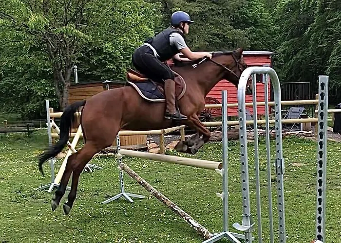 Domaine De Valmeray Airan