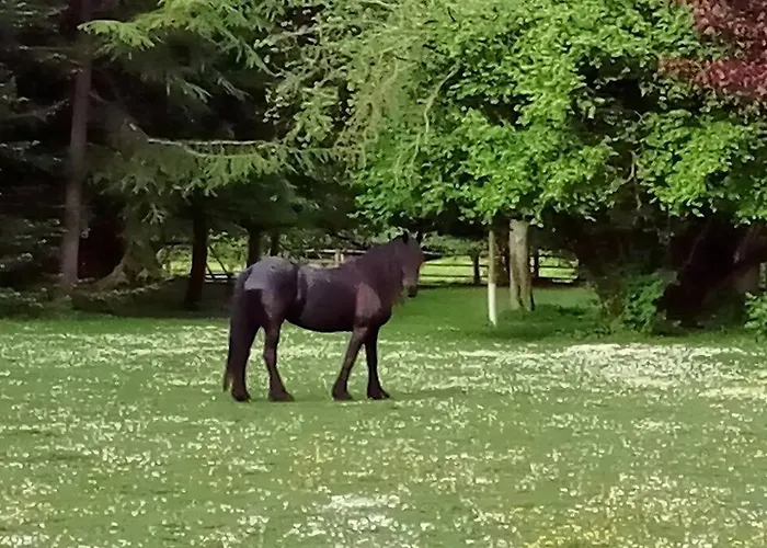 Domaine De Valmeray *