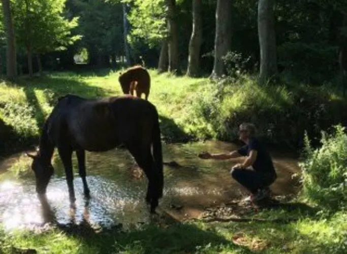 Domaine De Valmeray * Airan