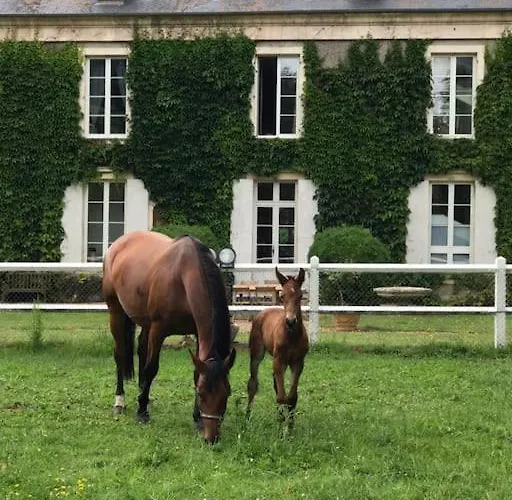 Domaine De Valmeray * Airan