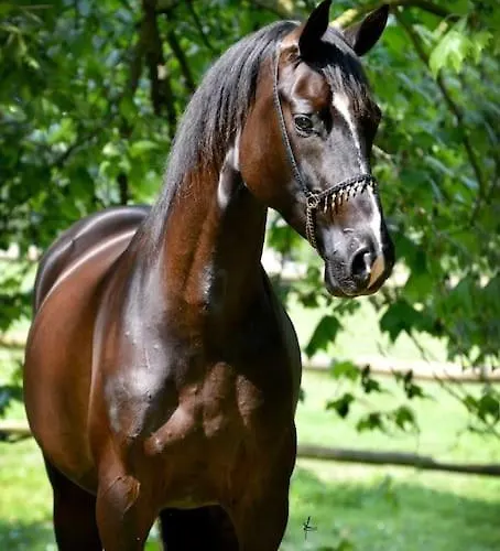 Domaine De Valmeray Holiday home *