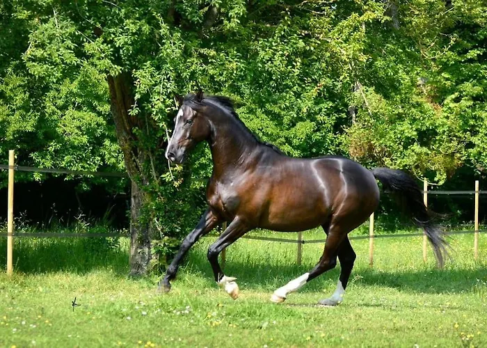 Holiday home Domaine De Valmeray Airan